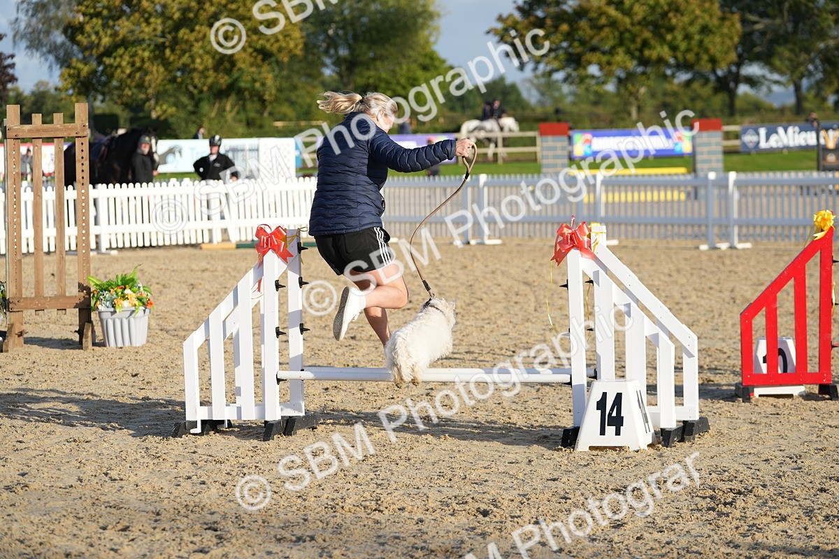 SBM_29430 - J44 - Horse & Hound Open 70cm