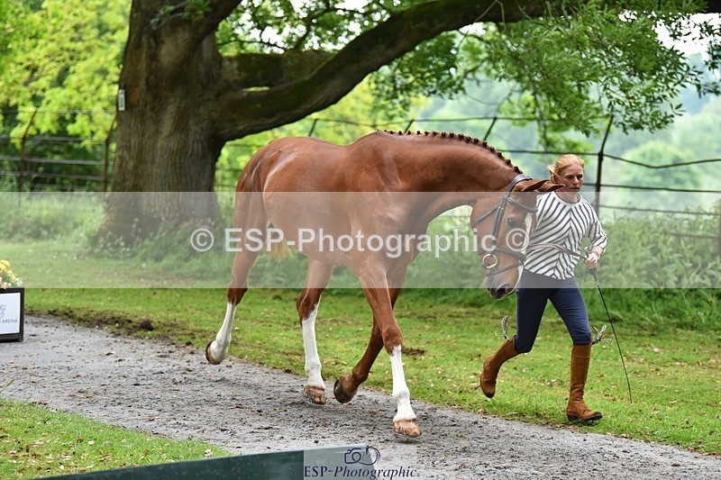 240522-170118-01327 - 233-SILVESTERS_FINESSE-Rosalind_Canter