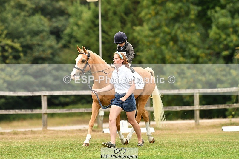 250820A-114902-05310 - 11am to 12