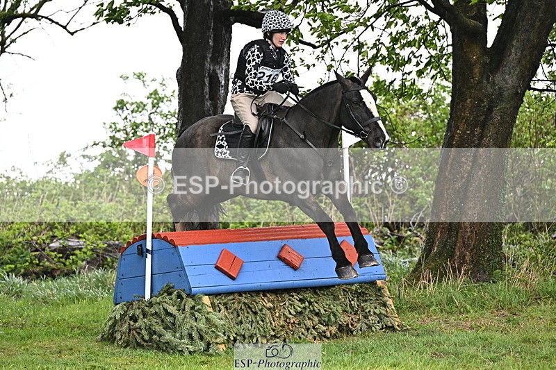 250418-142401-05547 - 216-Kt.English-Baillie-CRISTAKELL.MR..DOUGAL