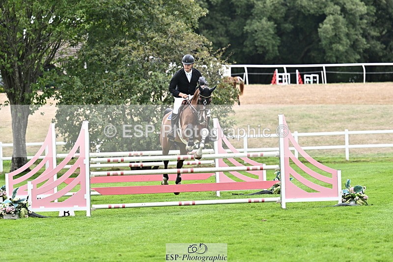 DSC_3849 - FAV_07736708329
