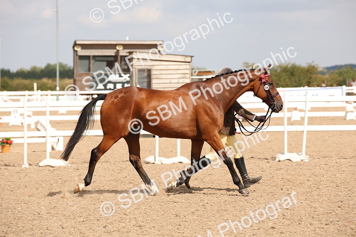 SBM_04666 - Class 20 IH Veteran