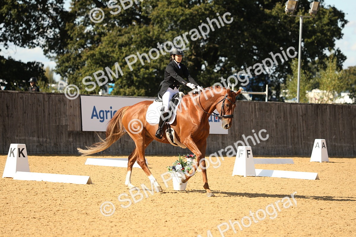 SBM_24614 - D17 - Grand Tour Championship - Novice 27