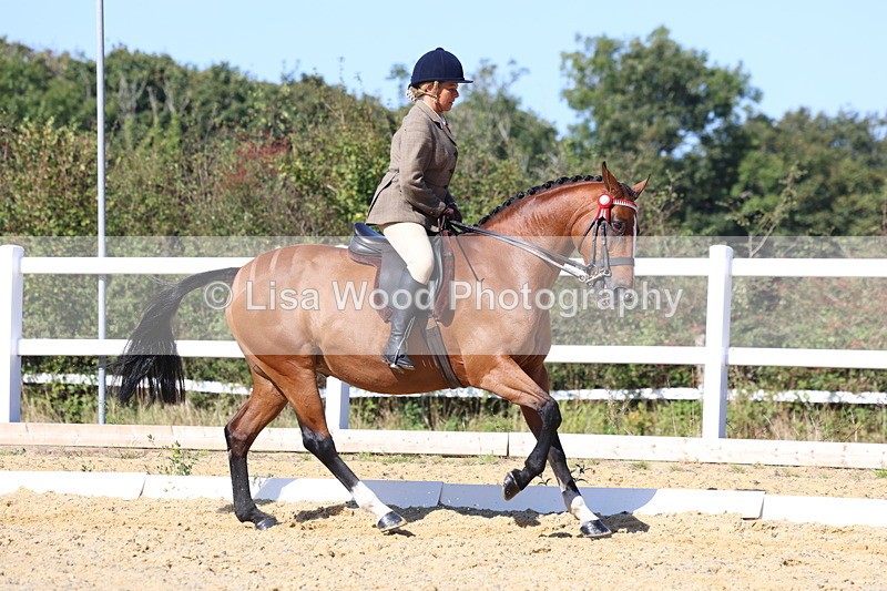 3E7A5707 - Class 10: Riding Horse