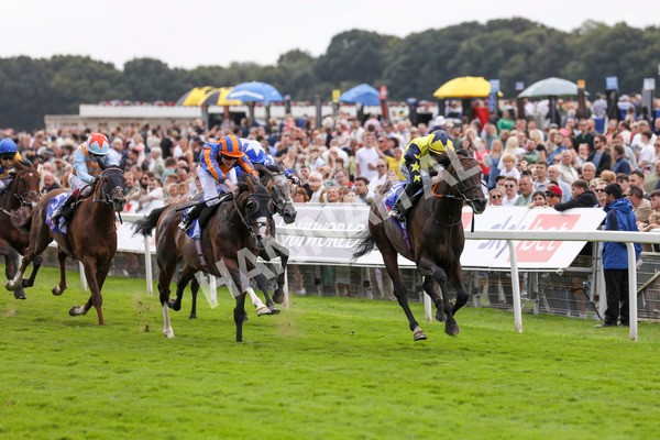 240824-Race 2-Tabletalk-8939 - Race 2 2.25pm Sky Bet Melrose Handicap