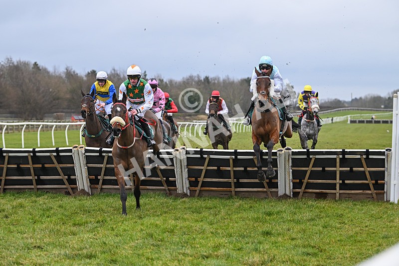 100225-Race 1-Tigerbythetail-6225 - Race 1