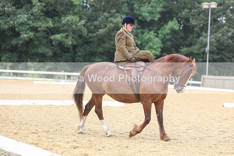 3E7A5485 - Class 2: Intro 4 2024 section B