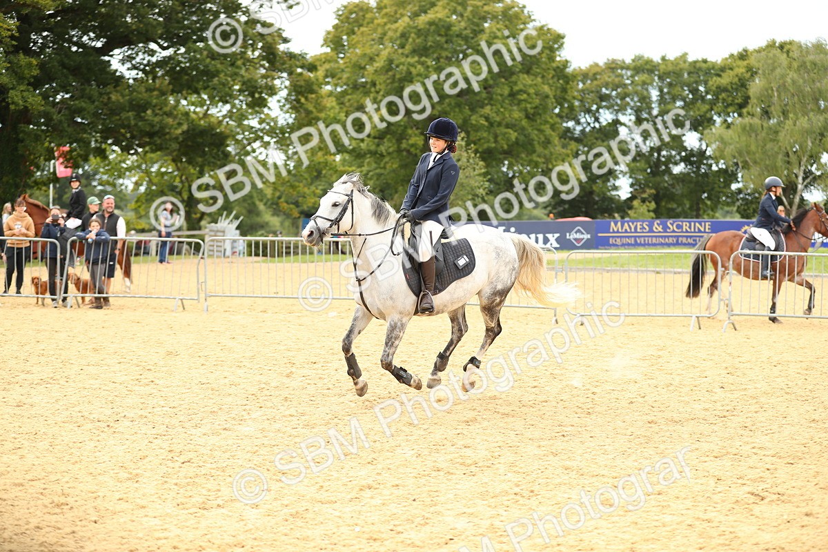 SBM_71369 - J18 - Junior Pony 85cm Championship