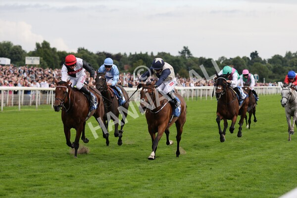 yr19082021r6-12 - Race 6 4.45pm British EBF & Sir Henry Cecil Galtres Stakes