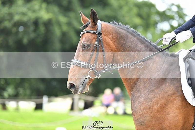 230812-130106-04261 - Cls 6 Novice Silver 12.10 to End