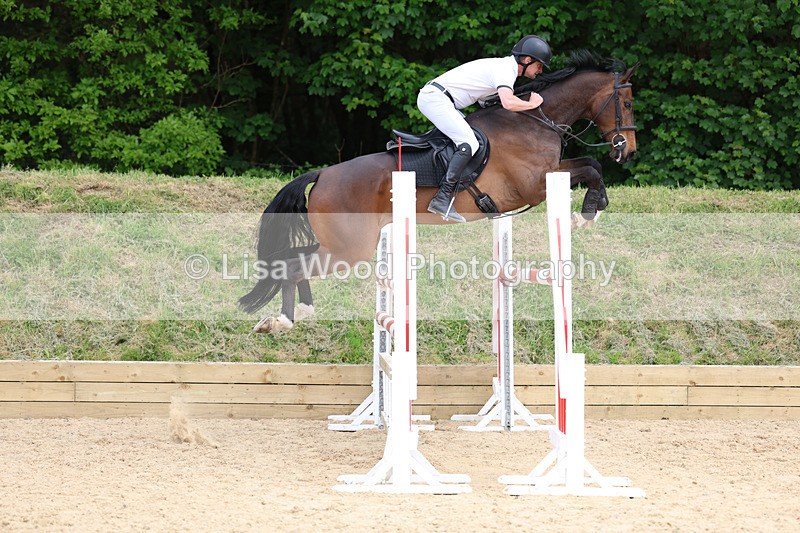 3E7A7467 - Class 8: Senior Foxhunter/1.20 open