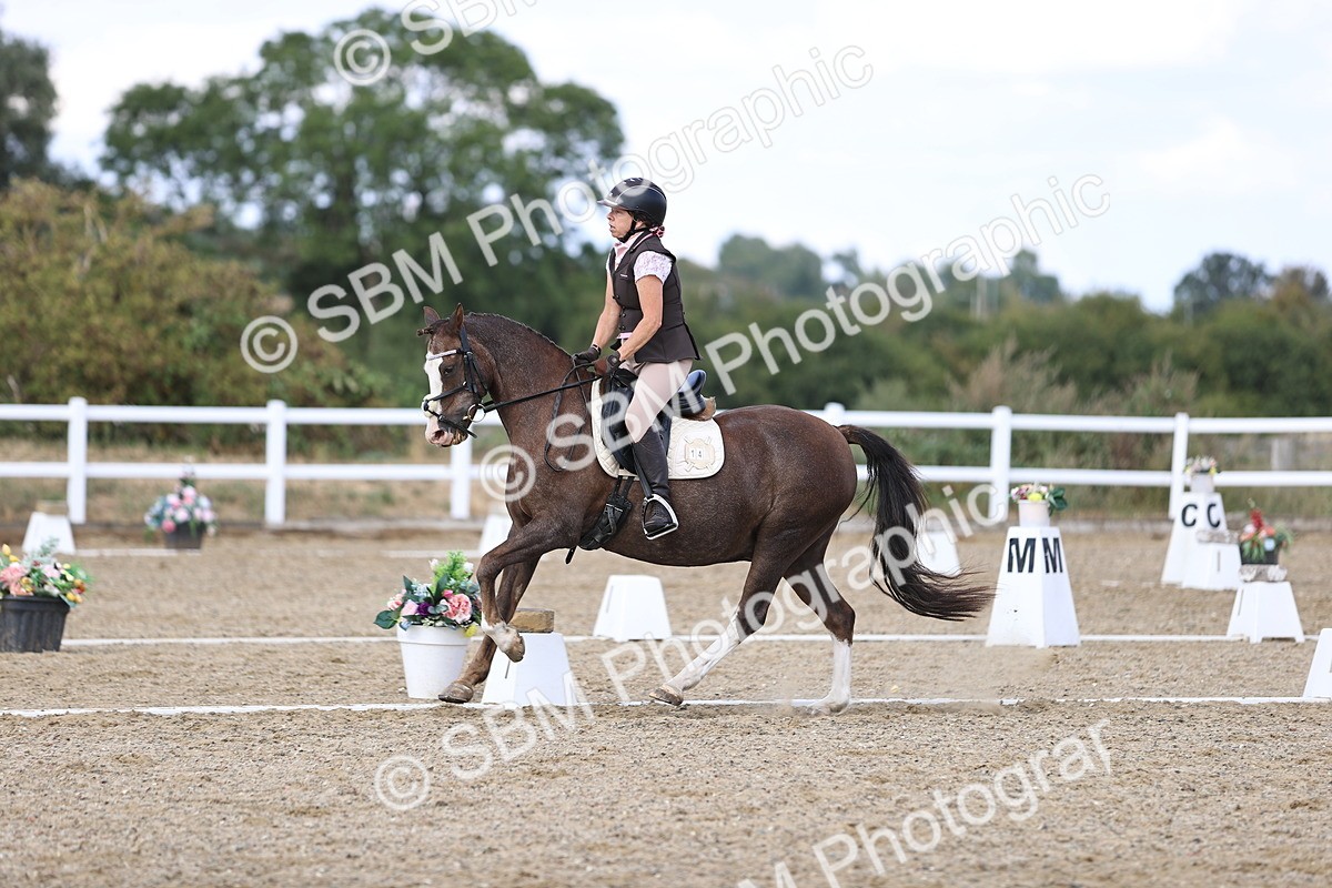 SBM_015955 - Class 5 - E5 Bronze  16.18.17.22