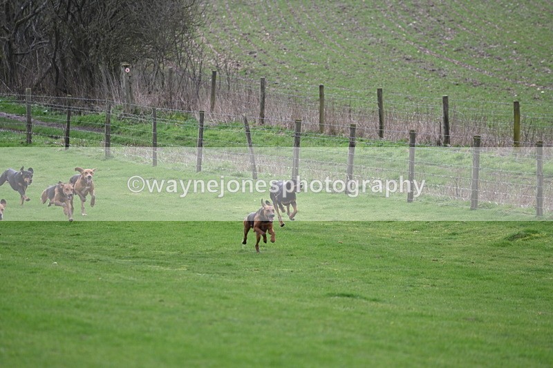 WJ6_8962 - Line Three