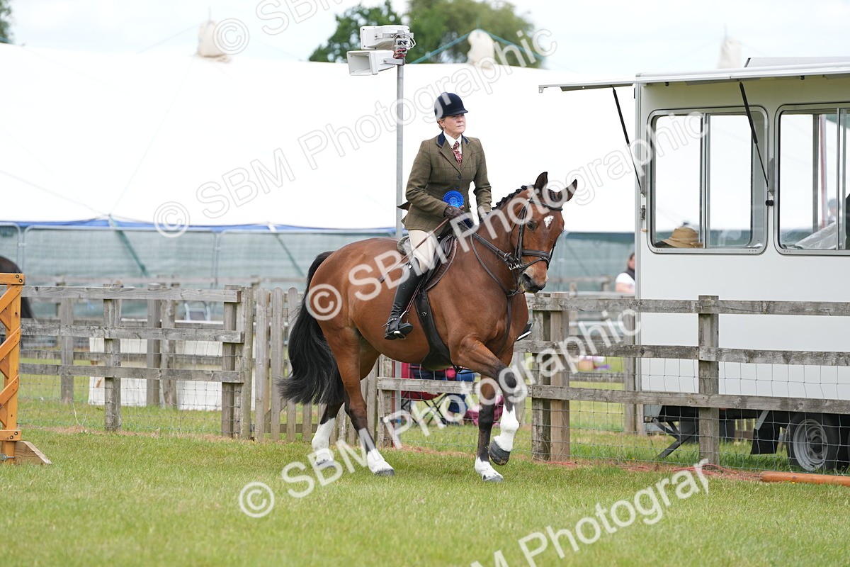 SBM_00006 - Class 100-102 - RIHS Working Hunter