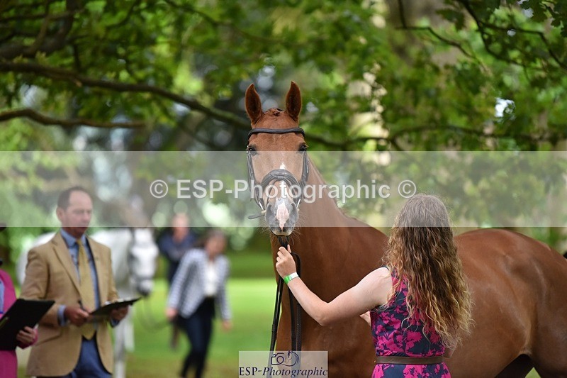 240522-170648-01394 - 236-RUBIN_MOON_SB-Gemma_Watts