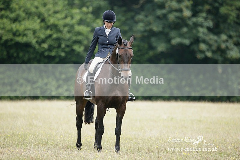 BVRC 030721 426 - Bourne Valley Riding Club Dressage 03/07/21