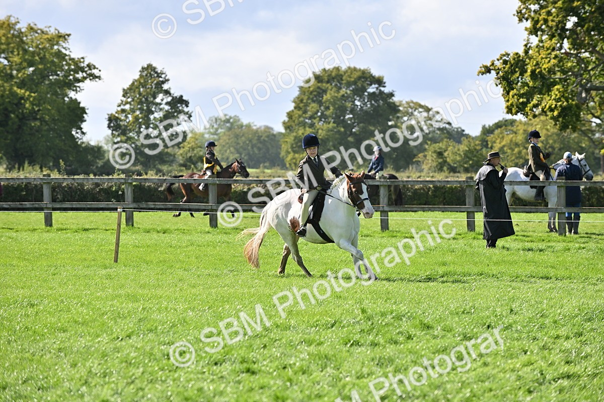 SBM_44573 - S13 - Pony Club Pony