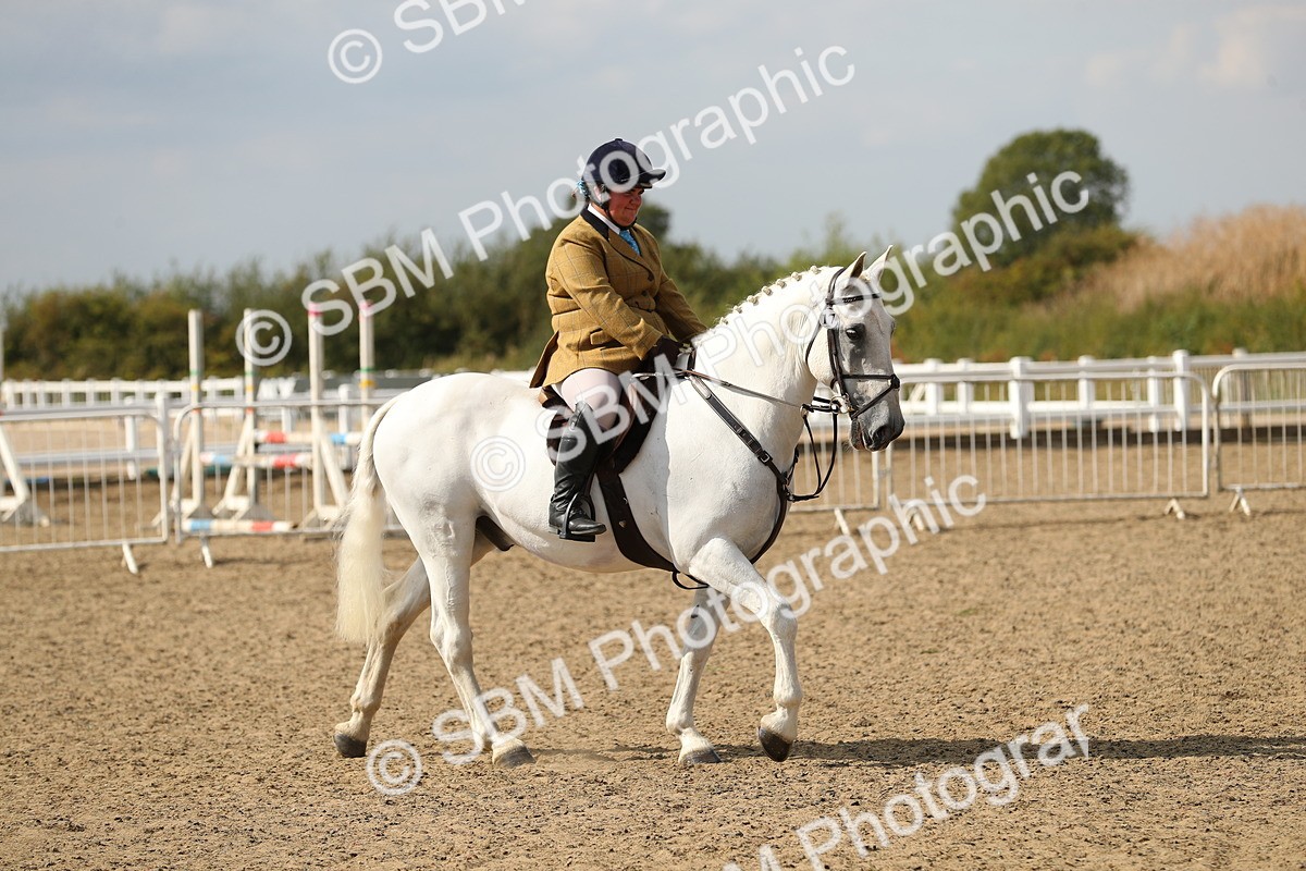 SBM_06836 - Class 49a Style & Performance 80cm (15-19)