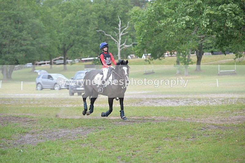 NGP_8052 - Time 11:39 to 11:48