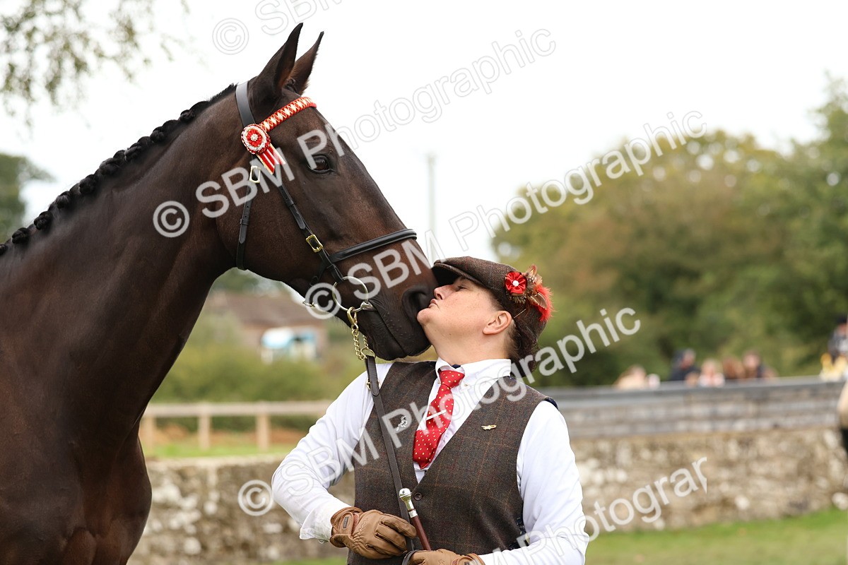 SBM_59992 - S36 - Rehabiliated Rescue Horse & Pony In Hand & Ridden