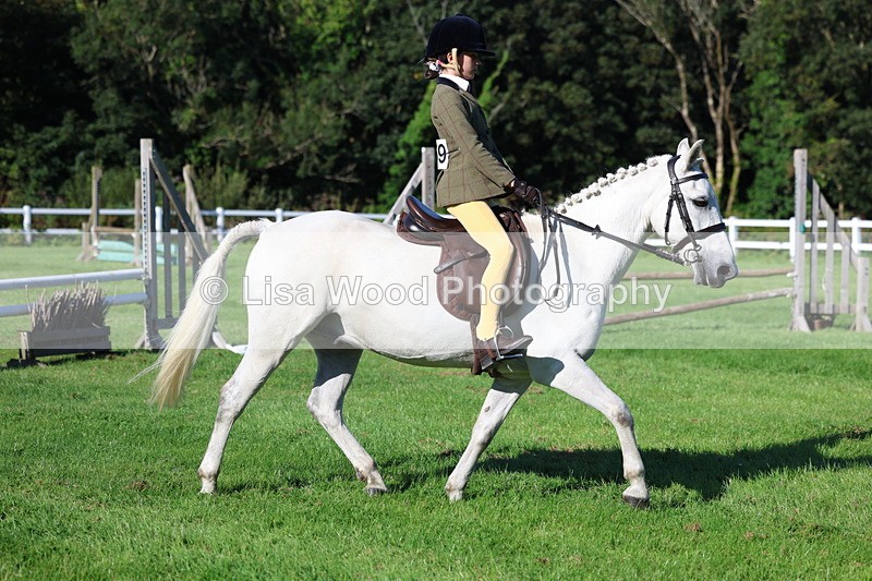 3E7A7649 - Class 1: Novice Working Hunter Pony