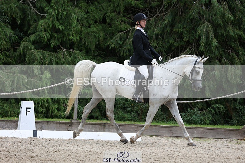 230812-151621-05096 - Cls 5 Novice Bronze 15.00 to End