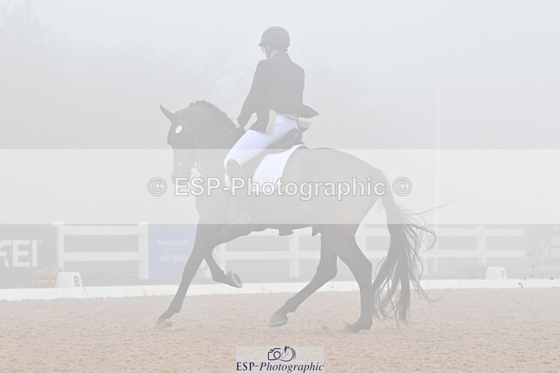 240217A-140903-03360 - 256-Bradley.Moore-Taylor-Ouyuan