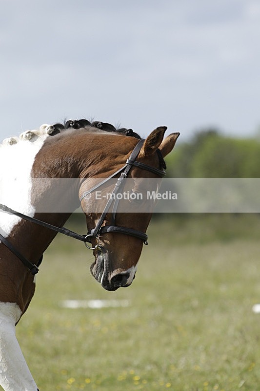 BVHT 140517 -159 - Class 1 DR Intermediate 14/05/17