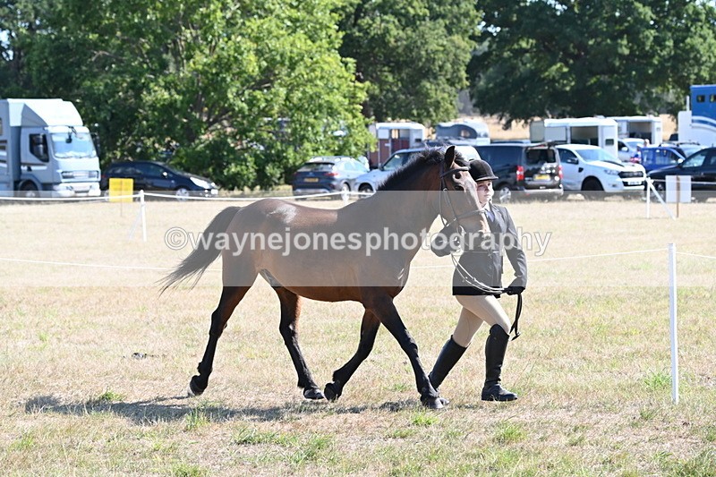 WJ6_7536 - Class 34 Judges Choice