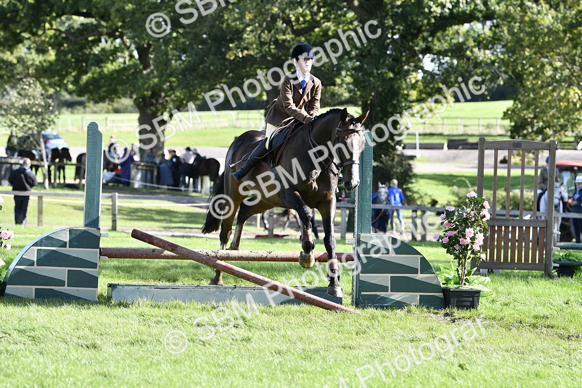 SBM_50014 - S34 - Novice & Newcomers Working Hunter