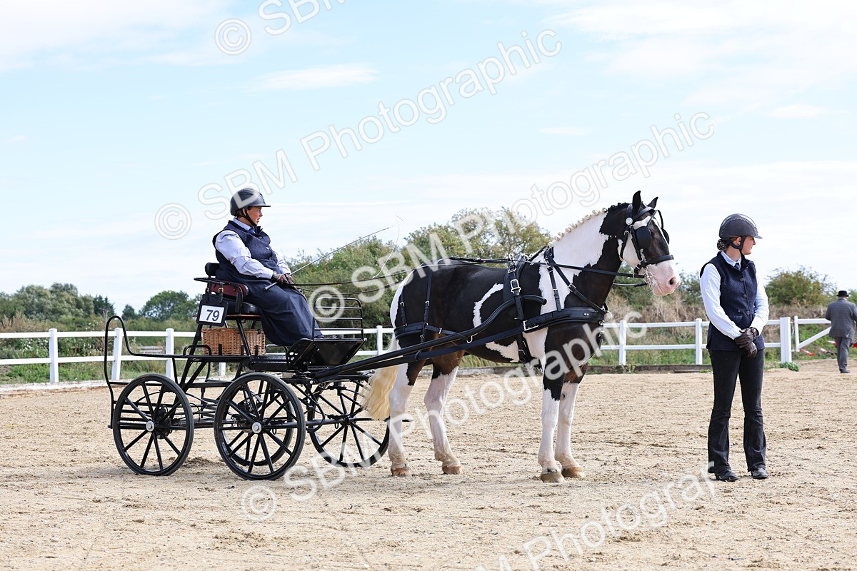 SBM_000922 - Class 8 - Novice Horse or Pony to any vehicle