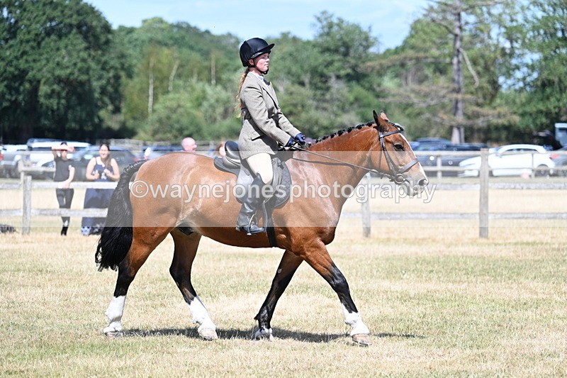 WJ7_3475 - Class 8 Ridden Veterans