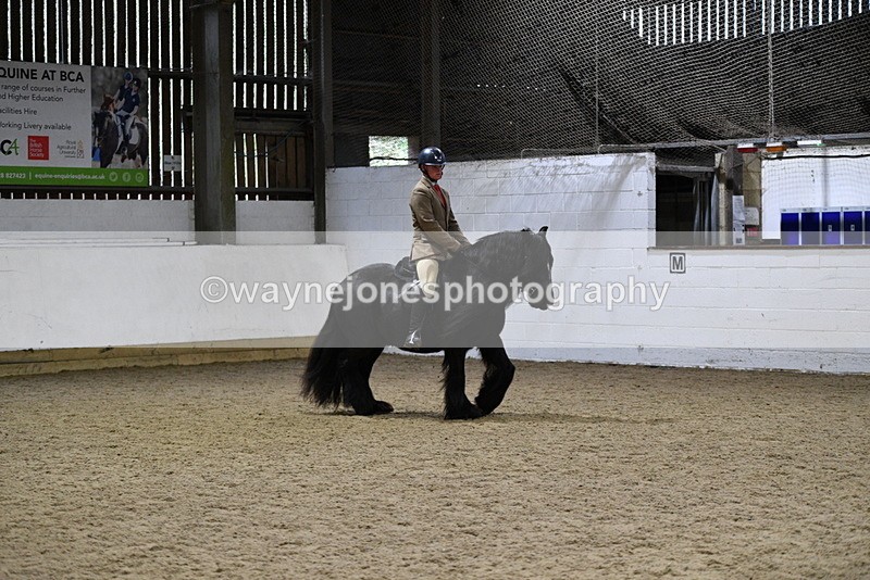 WJ5_8627 - Class 14 Novice Ridden/Rider