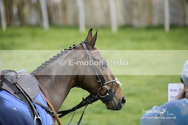 PtP 180422 35 - Old Berkshire PtP Lockinge 18/04/22
