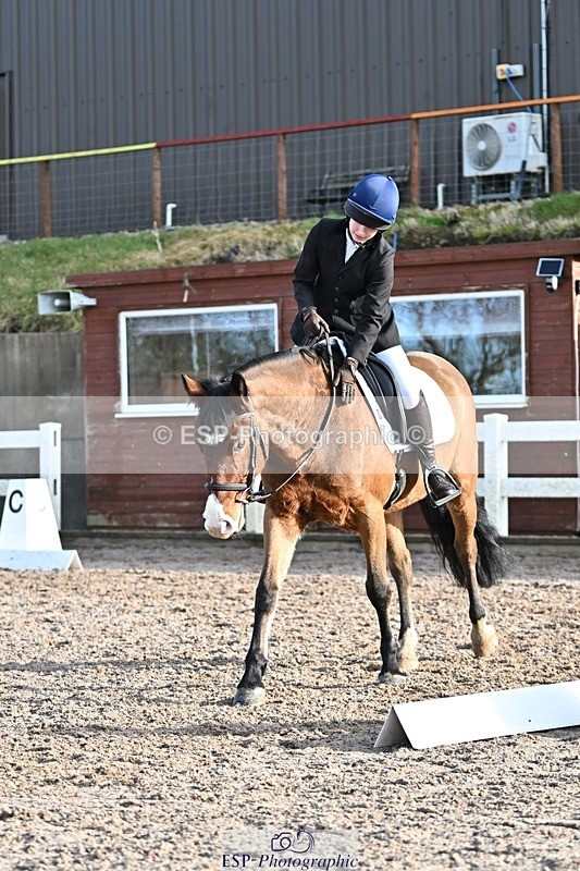 250125-104234-00224 - Dressage - CT Class 4 BE95 (80cm)