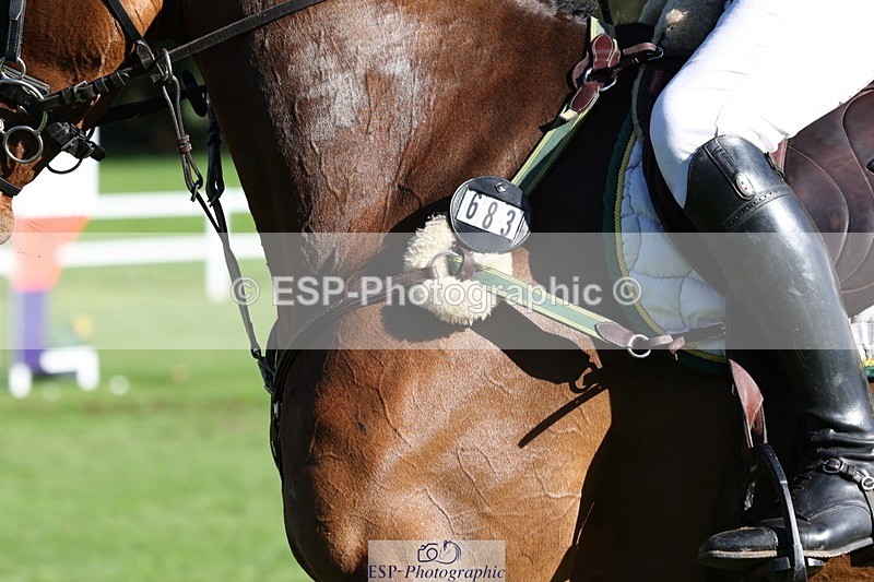 231022-113528-25263 - 683-ALVESCOT.FIVE.STAR-Mark.Ford-TrotUp+SJ