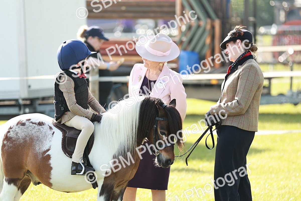 SBM_11177 - Class 106-107 - BSPS LIHS Working Sports Pony