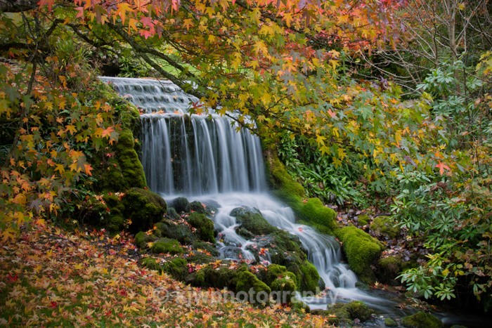 Waterfall - Gallery 1