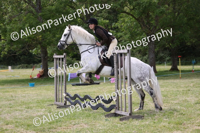 20260614-4055 - Class 24 - Mini and Major Pairs Jumping
