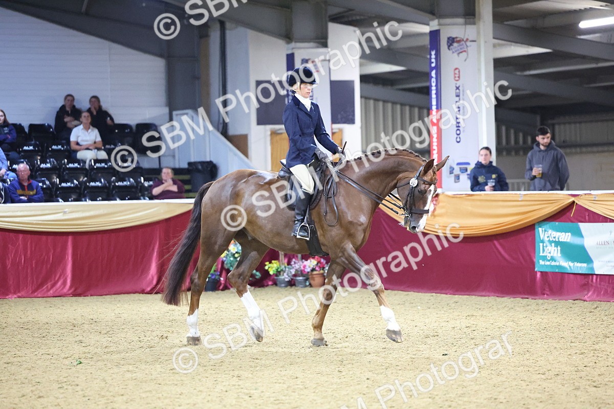 0B8A4470 - Class O Ridden Show Horse Champ