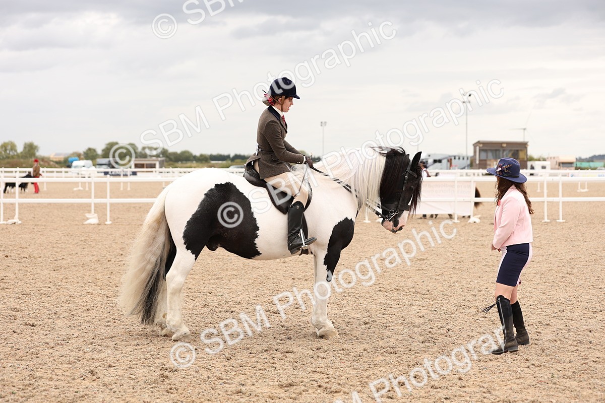 SBM_19706 - Class 216 - Ridden Traditional - Native Cob
