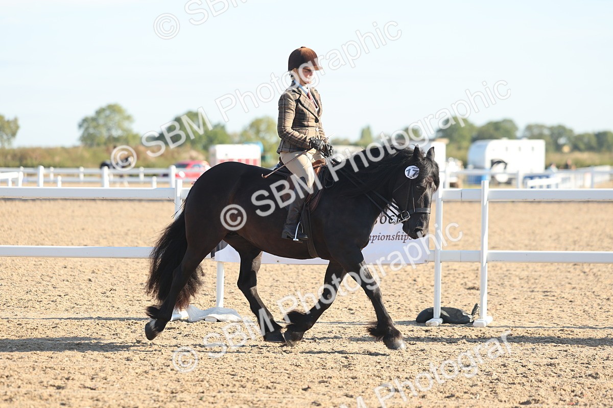 SBM_10981 - Class 302 - Ridden M&M Large Breeds