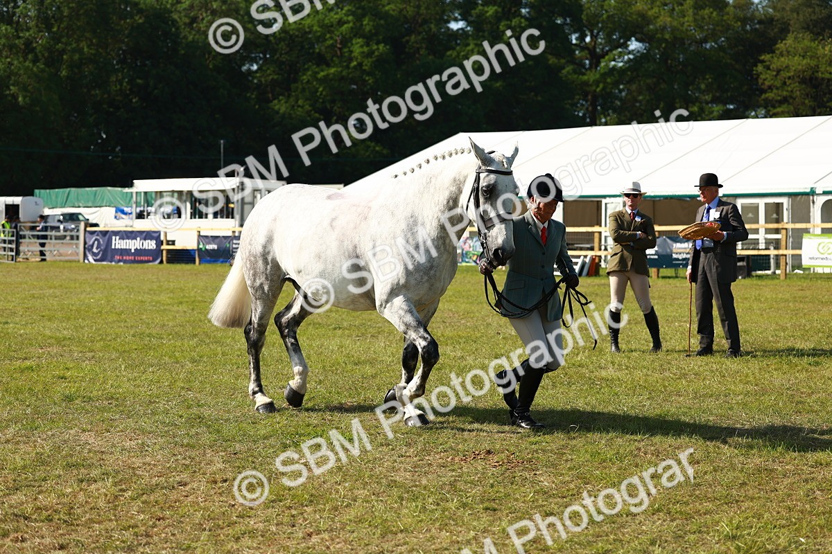 SBM_11832 - Class 66-69 - RIHS Ridden Hunters Inc Small Hunter