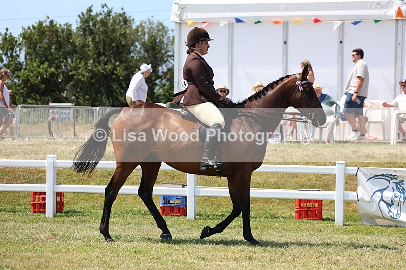 3E7A9272 - Class 12: Open Racehorse to Show Horse