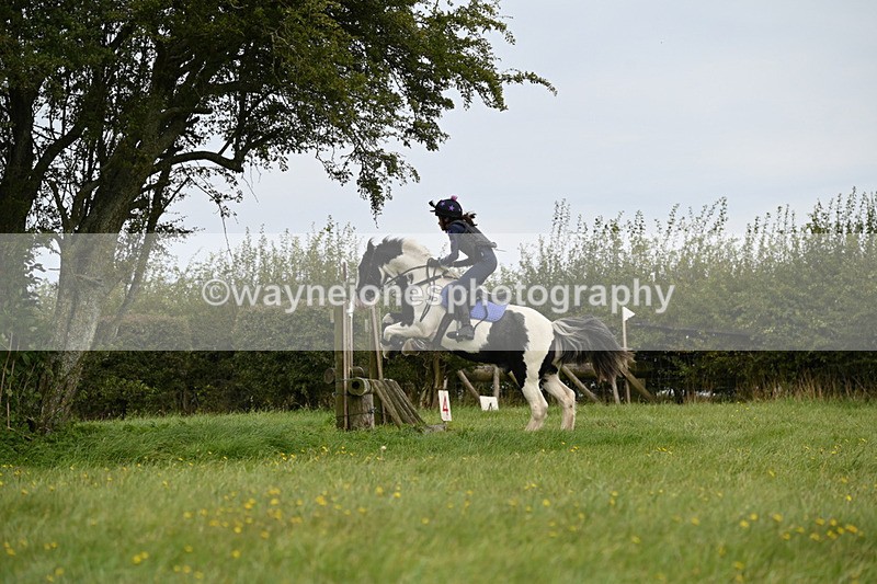 WJ6_9865 - Time 14:11 to 14:30