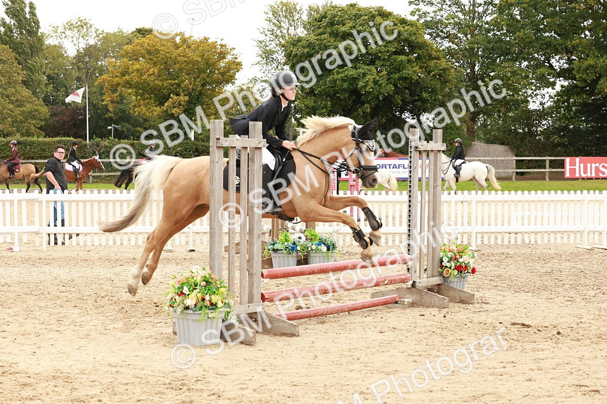 SBM_63727 - J12 - Junior Pony 55cm Championship