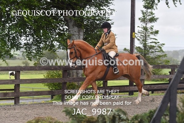 JAC_9987 - CLASS 3 Intermediate Working Hunter (0.70m - 0.85m)