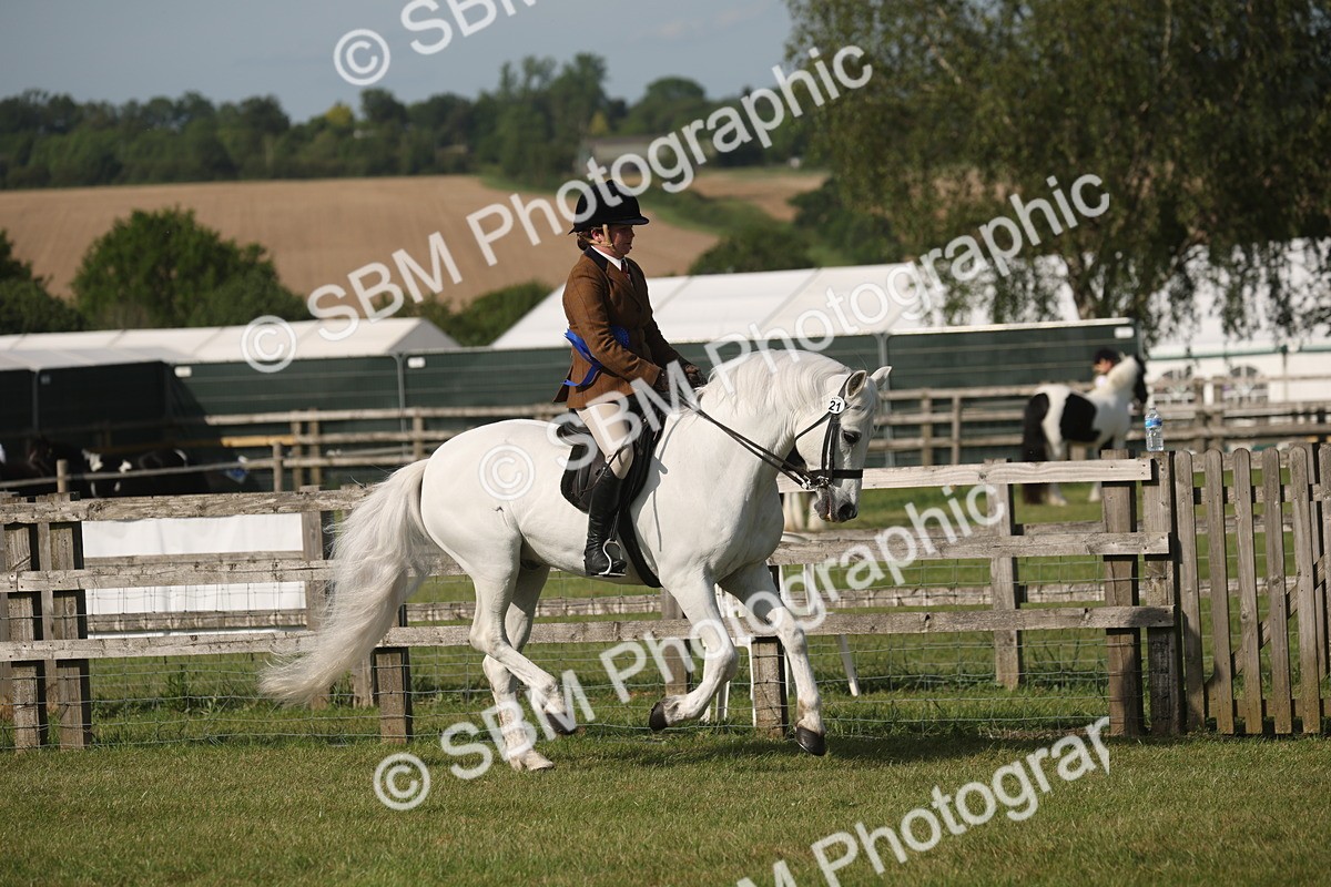 SBM_10250 - Class 33-38 - SSADL RIHS Qualifiers