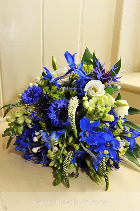  - Wedding Portfolio