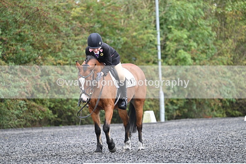 WJ7_4046 - Time 11:04 to 11:38